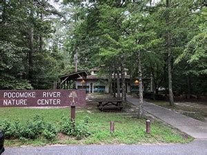 Pocomoke River State Forest | VisitMaryland.org