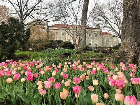 Summer Vacation Ideas for Nashville, Tennessee - Mom Does Reviews