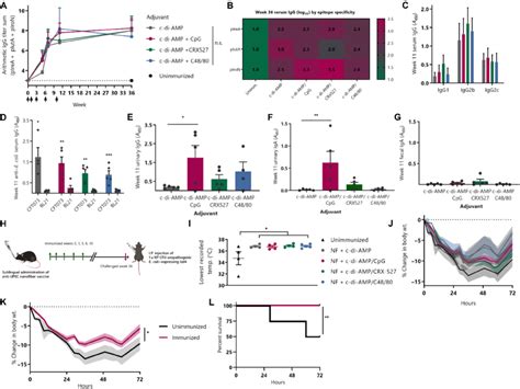 Formulation With Sting And Tlr9 Agonists Promotes Strong Serum And Download Scientific Diagram