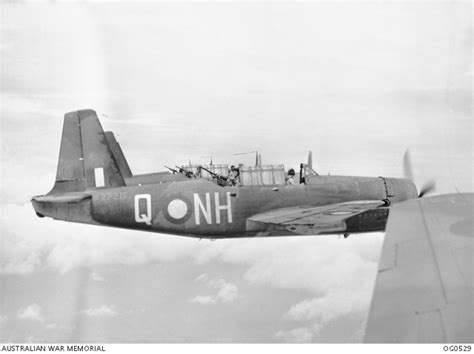 Line Up Formation Of Vultee Vengance Dive Bombers Of No 12 Squadron