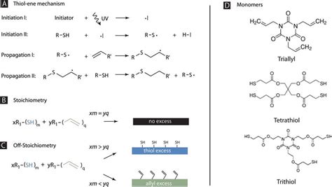 Allyl Functional Group