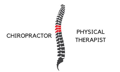 Chiropractic Care Vs Physical Therapy Backfit Health Spine