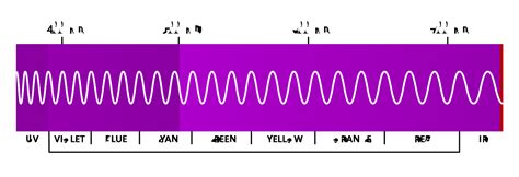 Visible light - Glossary - Energy Encyclopedia