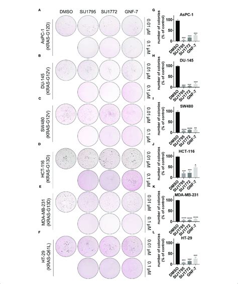 A F Soft Agar Assay Results For Evaluating The Effect Of Sij1795 Download Scientific