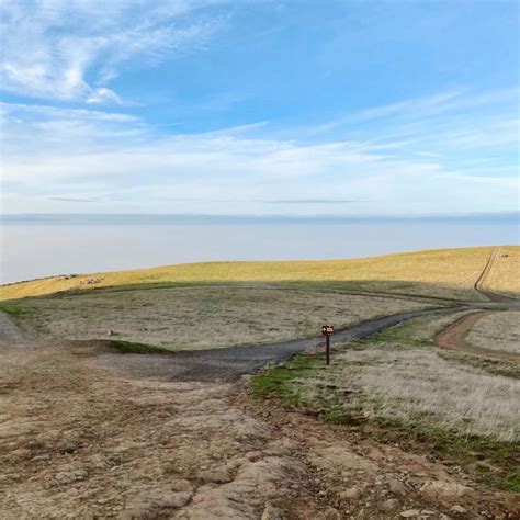 Mission Peak Trail - A Top Bay Area California Hike - Carrie Green-Zinn