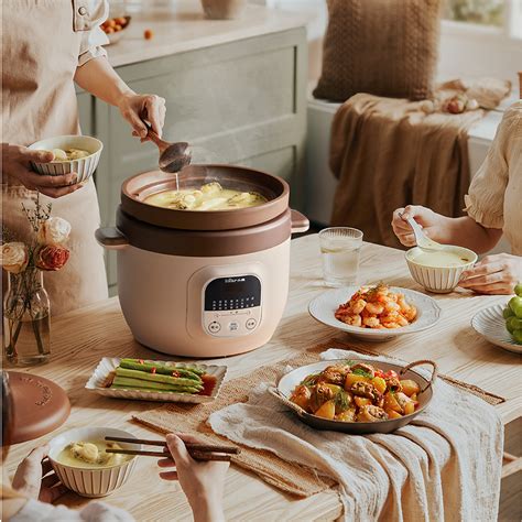 Purple Clay Pot Cooker 5l Bear Malaysia