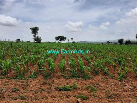 Acres Agriculture Land For Sale Near Koratagere Tumkur Farmads In