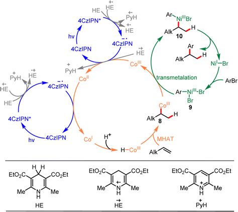 Photoinduced Co Ni Cocatalyzed Markovnikov Hydroarylation Of