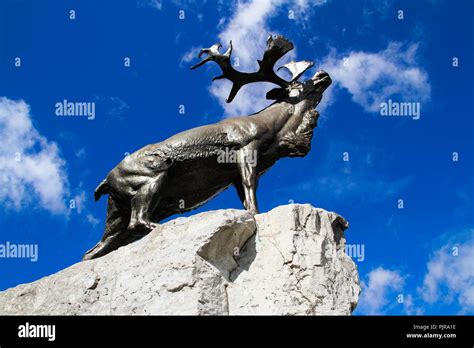 Caribou Monument Beaumont Hamel Le Caribou Tait Le Symbole Du