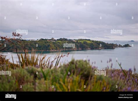 Waiheke Island New Zealand Stock Photo Alamy