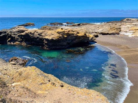 Point Lobos Hiking: Top 6 Trails to Hike at the California Coastal Park ...