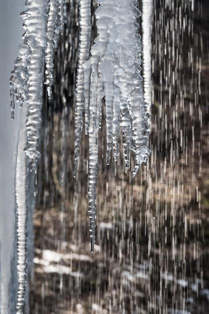 Premium Photo | Close-up of icicle