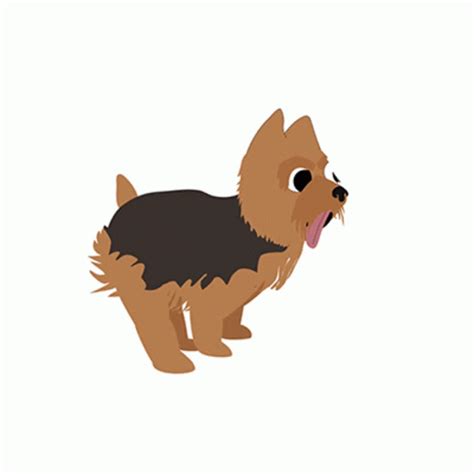 Yorkie Dog GIF - Yorkie Dog Run - Discover & Share GIFs | Yorkie dogs ...