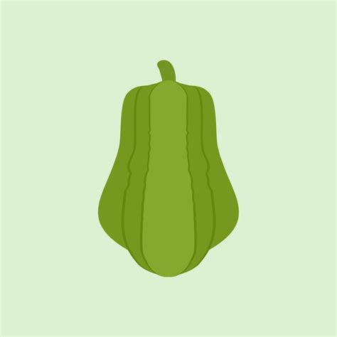 chayote flat design vector illustration.Chayote plant icon. Flat ...