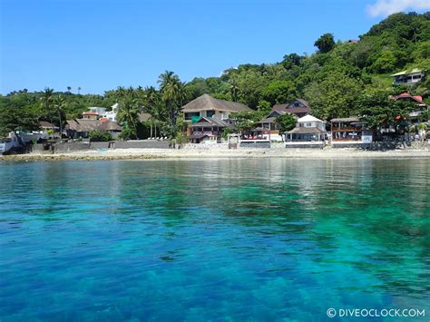 Amazingly Awesome Anilao Triple A Diving In The Philippines Dive O