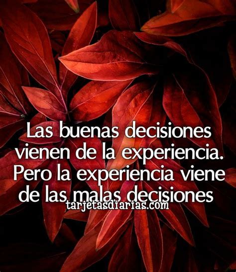 LAS BUENAS DECISIONES VIENEN DE LA EXPERIENCIA PERO LA EXPERIENCIA