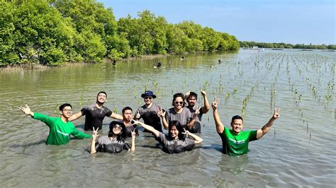 Pt Gts Internasional Bersama Komunitas Mangrove Jakarta Tanam Ribuan