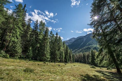 Nationalpark Kurzwanderung Margun Grimmels Bergwanderrouten Tessvm