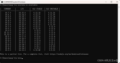 nvm Vue 安装与配置保姆级教程 CSDN博客