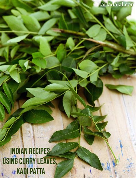 1544 curry leaves recipes | Indian recipes using kadi patta