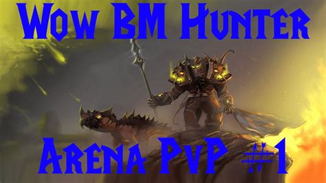 World Of Warcraft Pvp 90 Bm Hunter Arenas Patch 5 3 1 Bm Hunter And Ret Paladin Youtube