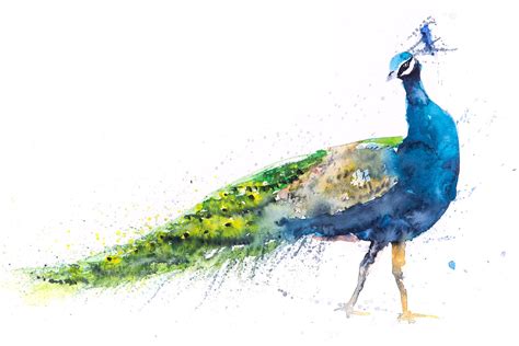 Peacock Painting No.1 Wall Art Watercolour - Signed Limited Edition Print from my Original ...