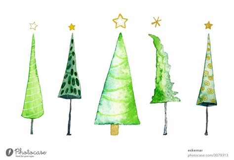 Christmas Trees Watercolour On Paper A Royalty Free Stock Photo From