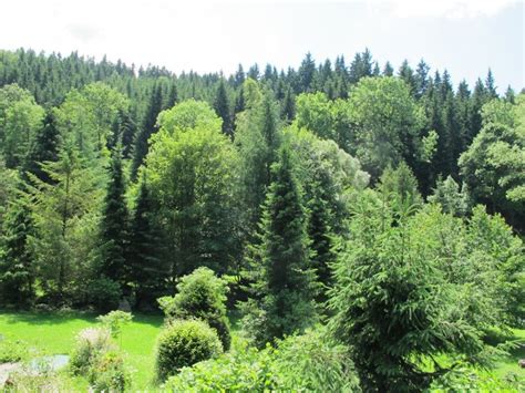 Grünes Ferienhaus Nassau Erzgebirge In Frauenstein Ab 49 € Direkt Bei Herr B Richter Mieten