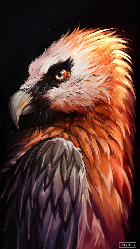 ArtStation - Bearded Vulture Study