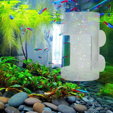 Fish Feeder for Aquarium Fishs Feeding Tube Ring with Suction Cup No