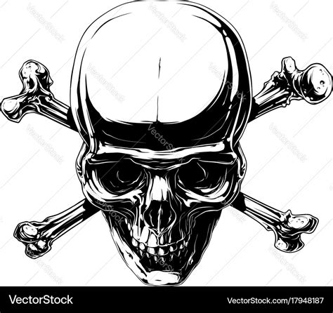 Graphic Horror Human Skull With Crossed Bones Vector Image