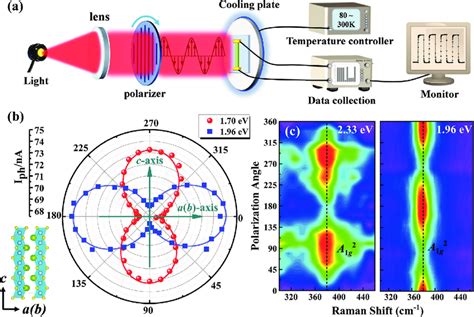 Polarization Sensitive Characteristics Of BaTiS 3 Photodetectors A