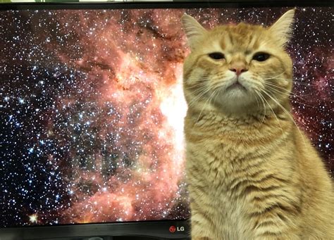 再現度高すぎ宇宙の映像が流れてたテレビの前に偶然猫が座って例の写真みたいになった Togetter トゥギャッター