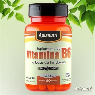 Vitamina B6 piridoxina 280mg C 60 Cápsulas Apisnutri R 17 28 em