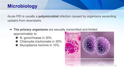 PELVIC INFLAMMATORY DISEASE PID PPT