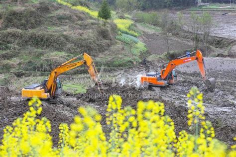 重庆：宜机化改造 坡地变良田 人民图片网