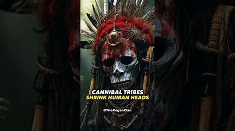 Cannibal Tribes Shrink Heads Joerogan Tribe Amazonrainforest Youtube