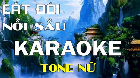 Cắt Đôi Nỗi Sầu Karaoke Tone Nữ Karaoke Lâm Organ Cover TĂNG DUY TÂN