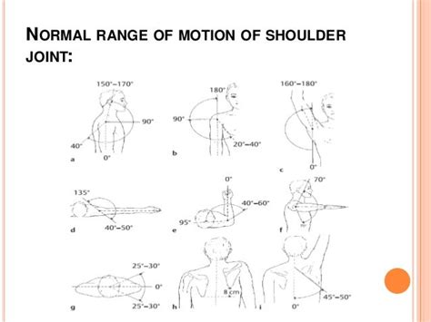 Tests For Shoulder Joint