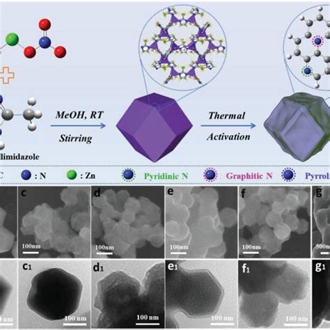 A Synthesis Schematic Of Nitrogendoped Carbon Materials SEM And TEM