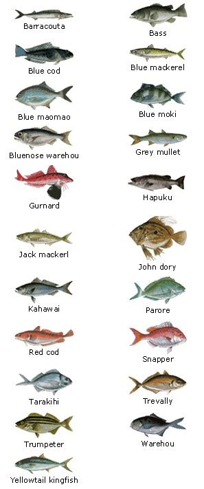 Saltwater Fish Names