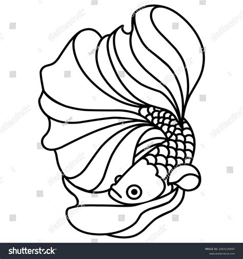 Betta Fish Mascot Logo Line Art Stock Vector (Royalty Free) 2263120697 | Shutterstock