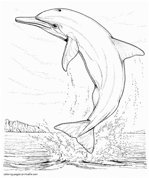 Realistic Ocean Animals Coloring Pages