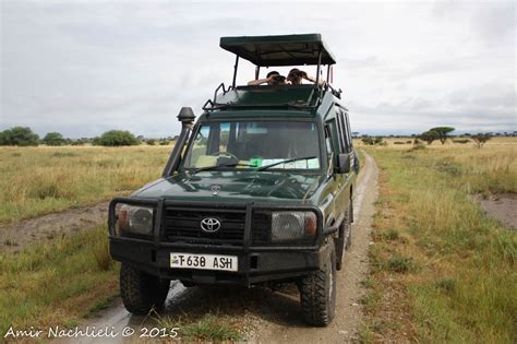 8 Days Luxury Tent Safari Base Camp Tanzania