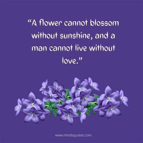 55+ BEST Flower Quotes For Love And Life & Peace