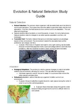 Evolution Natural Selection Middle School Study Guide TPT