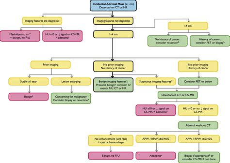 Incidentally Discovered Adrenal Mass Radiologic Clinics