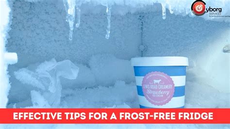 7 Effective Tips for a Frost-Free Fridge - Cyborg Services