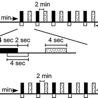 Effects Of Cycloheximide On Formation Of 1 Day Memory After Olfactory