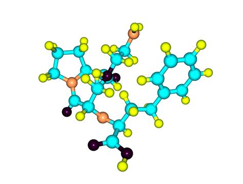 Lipase Enzyme - Health Hearty